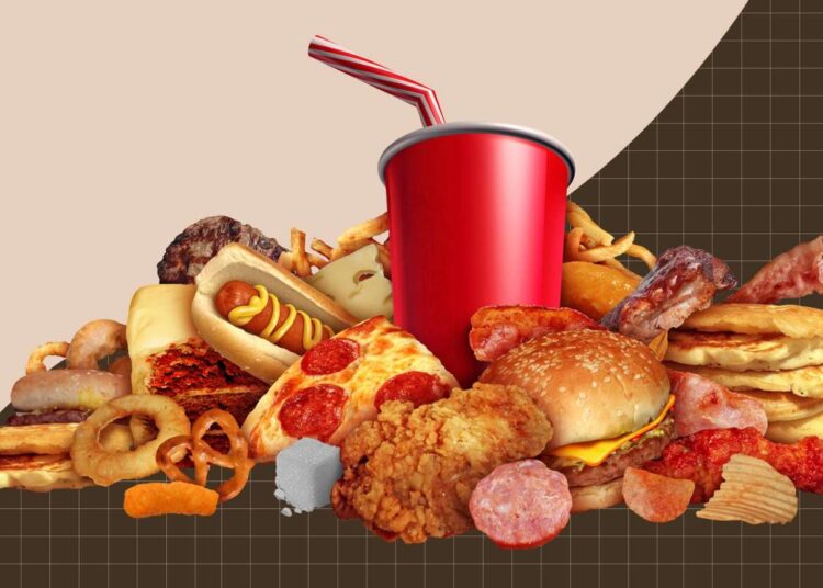 Which Foods Cause High Cholesterol?