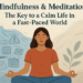 Mindfulness & Meditation: The Key to a Calm Life in a Fast-Paced World